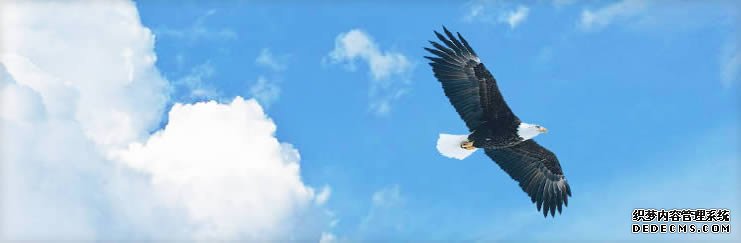 14721082939903151.jpg 14721082939903151.jpg